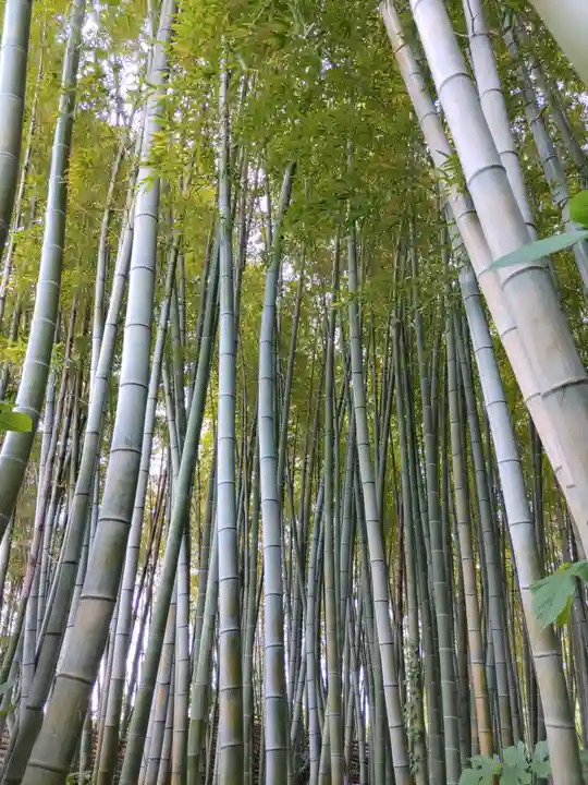 雲昌寺(秋田県)