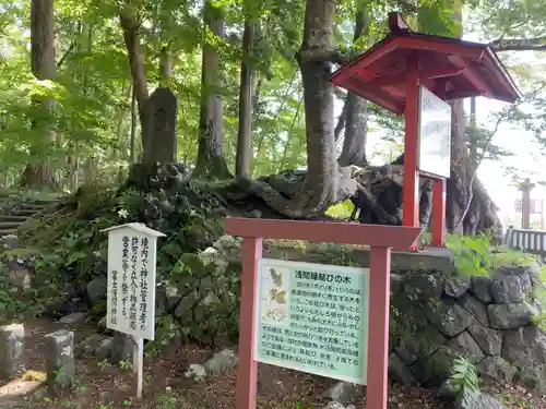 富士山東口本宮 冨士浅間神社のその他建物