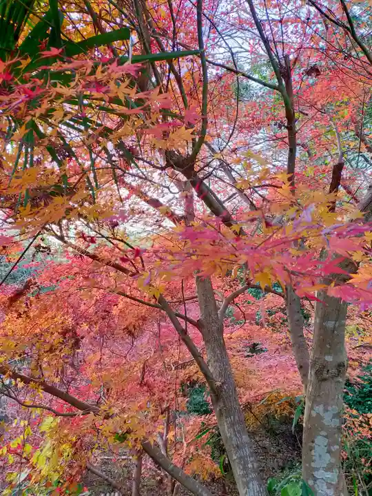 船宿寺(奈良県)