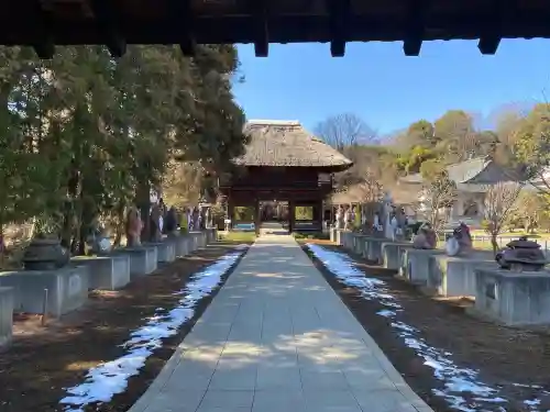 茂林寺の{uncategorized: "未分類", other: "その他", undefined: "問題あり", building: "その他建物", grave: "お墓", sacred_gate: "鳥居", guardian: "狛犬", statue: "像", buddha: "仏像", history: "歴史", nature: "自然", garden: "庭園", animal: "動物", pagoda: "塔", temizu: "手水舎", mountain_gate: "山門・神門", sanctuary: "本殿・本堂", subordinate: "末社・摂社", art: "芸術", scenery: "景色", jizo: "地蔵", ema: "絵馬", goshuin: "御朱印", omikuji: "おみくじ", items: "授与品その他", amulet: "お守り", goshuincho: "御朱印帳", eats: "食事", festival: "お祭り", votive_dance: "神楽", shichigosan: "七五三参", wedding: "結婚式", experience: "体験その他", initially: "初詣", around: "周辺", anti_infection: "感染症対策"}