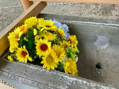 上目黒氷川神社(東京都)
