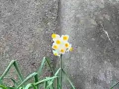 星宮神社の自然