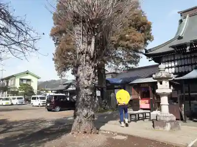 清宝院(東京都)
