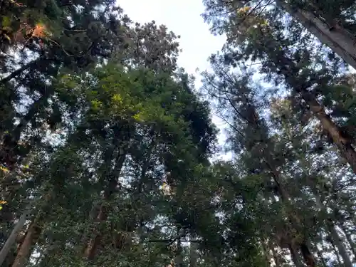 大宮温泉神社(栃木県)