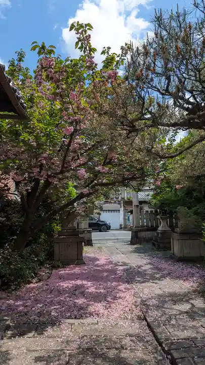 若宮神社の自然