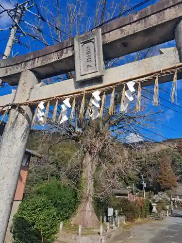 美奈宜神社の鳥居