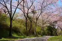 三春大神宮の景色