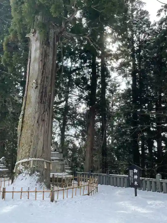 戸隠神社中社(長野県)