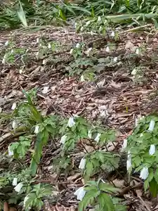 国上寺(新潟県)(2025年03月23日(日) 18時04分32秒投稿)