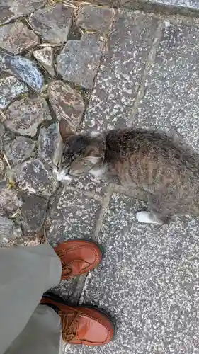 寳塔寺（宝塔寺）(京都府)