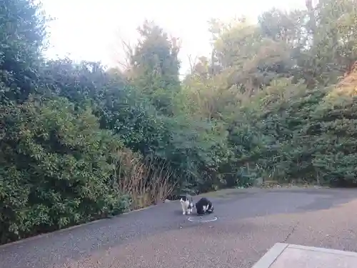 白金氷川神社のその他建物
