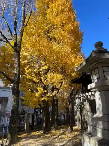 待乳山聖天（本龍院）(東京都)