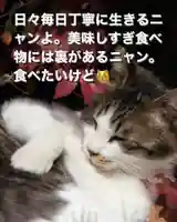 専念寺(大阪府)