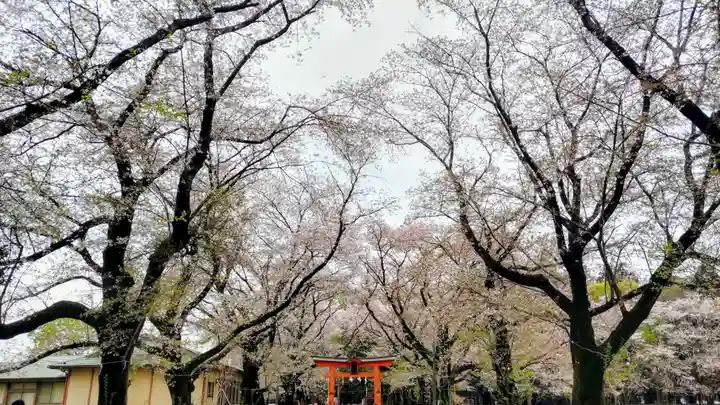 東蕗田天満社(茨城県)