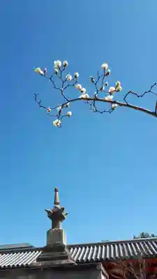 蓮華王院（三十三間堂）(京都府)