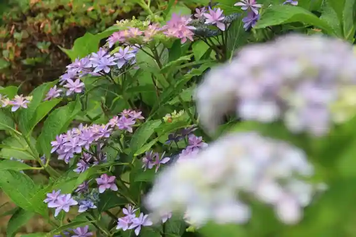 豊景神社の自然