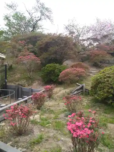 和霊神社の庭園