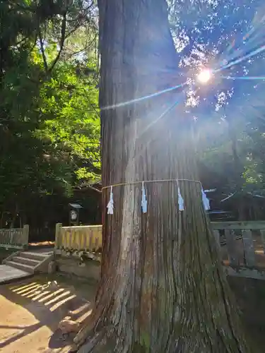 賀茂神社の庭園