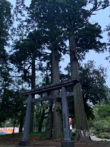 諏訪神社の鳥居