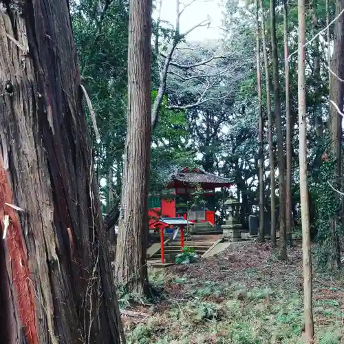 戸隠神社の自然