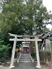 花山稲荷神社の鳥居