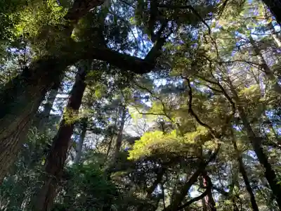 鹿島神宮(茨城県)