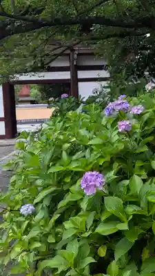 本法寺(京都府)