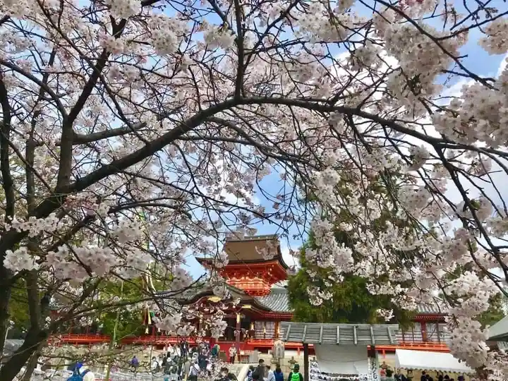 石清水八幡宮(京都府)