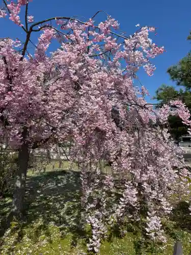 倶利迦羅不動寺鳳凰殿の{uncategorized: "未分類", other: "その他", undefined: "問題あり", building: "その他建物", grave: "お墓", sacred_gate: "鳥居", guardian: "狛犬", statue: "像", buddha: "仏像", history: "歴史", nature: "自然", garden: "庭園", animal: "動物", pagoda: "塔", temizu: "手水舎", mountain_gate: "山門・神門", sanctuary: "本殿・本堂", subordinate: "末社・摂社", art: "芸術", scenery: "景色", jizo: "地蔵", ema: "絵馬", goshuin: "御朱印", omikuji: "おみくじ", items: "授与品その他", amulet: "お守り", goshuincho: "御朱印帳", eats: "食事", festival: "お祭り", votive_dance: "神楽", shichigosan: "七五三参", wedding: "結婚式", experience: "体験その他", initially: "初詣", around: "周辺", anti_infection: "感染症対策"}