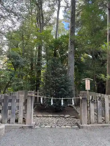 鶴岡八幡宮の自然