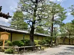 大覚寺(京都府)