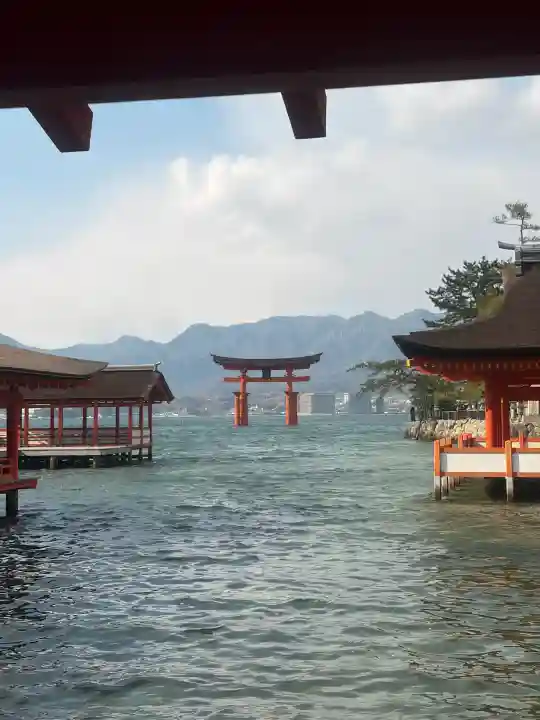 厳島神社の{uncategorized: "未分類", other: "その他", undefined: "問題あり", building: "その他建物", grave: "お墓", sacred_gate: "鳥居", guardian: "狛犬", statue: "像", buddha: "仏像", history: "歴史", nature: "自然", garden: "庭園", animal: "動物", pagoda: "塔", temizu: "手水舎", mountain_gate: "山門・神門", sanctuary: "本殿・本堂", subordinate: "末社・摂社", art: "芸術", scenery: "景色", jizo: "地蔵", ema: "絵馬", goshuin: "御朱印", omikuji: "おみくじ", items: "授与品その他", amulet: "お守り", goshuincho: "御朱印帳", eats: "食事", festival: "お祭り", votive_dance: "神楽", shichigosan: "七五三参", wedding: "結婚式", experience: "体験その他", initially: "初詣", around: "周辺", anti_infection: "感染症対策"}