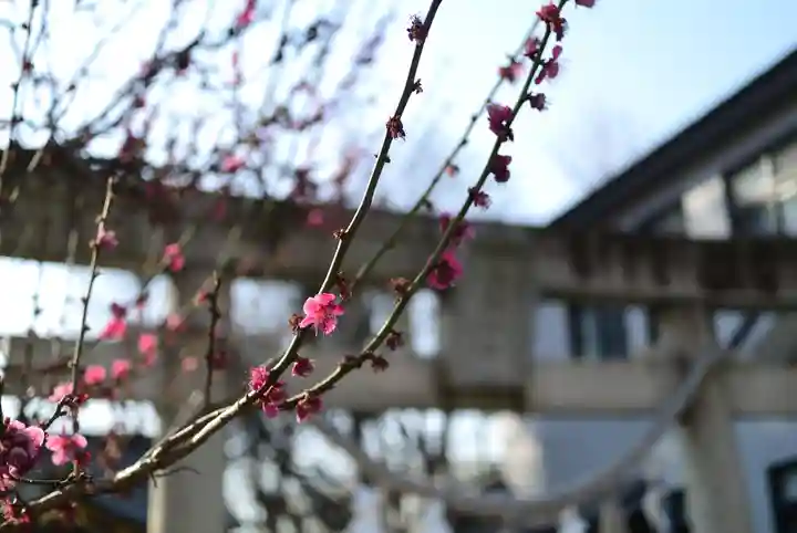 女塚神社の自然
