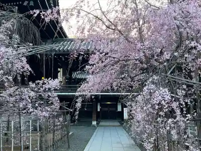 佛光寺(京都府)