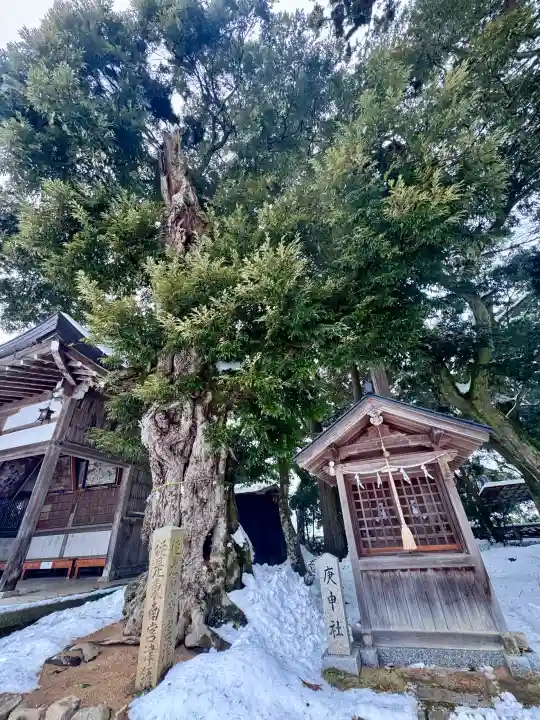 大宮賣神社の{uncategorized: "未分類", other: "その他", undefined: "問題あり", building: "その他建物", grave: "お墓", sacred_gate: "鳥居", guardian: "狛犬", statue: "像", buddha: "仏像", history: "歴史", nature: "自然", garden: "庭園", animal: "動物", pagoda: "塔", temizu: "手水舎", mountain_gate: "山門・神門", sanctuary: "本殿・本堂", subordinate: "末社・摂社", art: "芸術", scenery: "景色", jizo: "地蔵", ema: "絵馬", goshuin: "御朱印", omikuji: "おみくじ", items: "授与品その他", amulet: "お守り", goshuincho: "御朱印帳", eats: "食事", festival: "お祭り", votive_dance: "神楽", shichigosan: "七五三参", wedding: "結婚式", experience: "体験その他", initially: "初詣", around: "周辺", anti_infection: "感染症対策"}