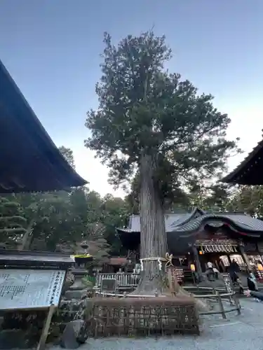 北口本宮冨士浅間神社(山梨県)