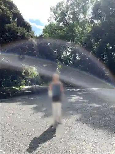 明治神宮(東京都)