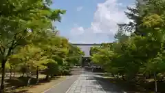 仁和寺の建物その他