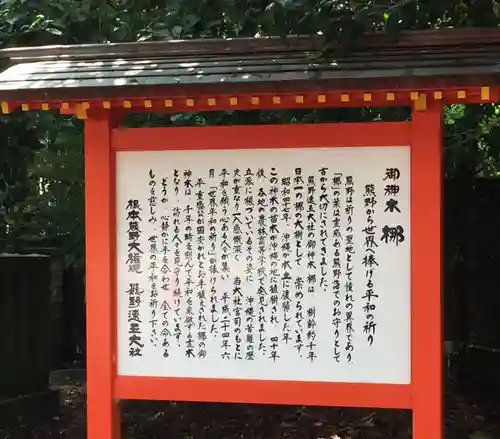 熊野速玉大社(和歌山県)