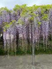 玉敷神社の庭園