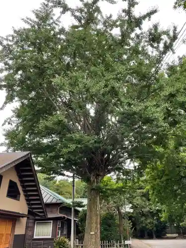 最勝寺教学院の自然
