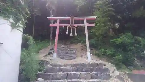 小丸山稲荷神社の鳥居