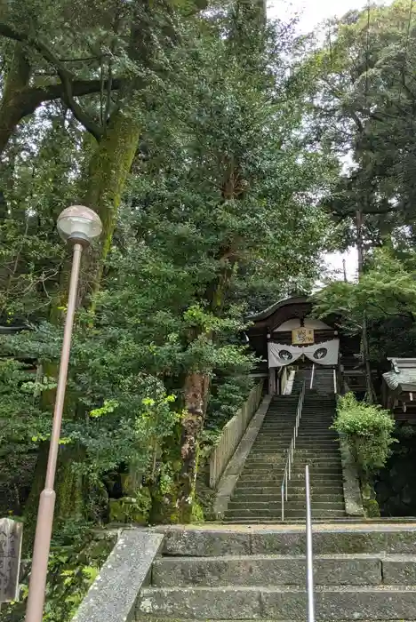 往馬坐伊古麻都比古神社の建物その他