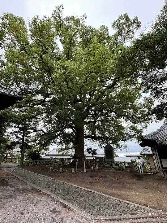 白峰宮(香川県)