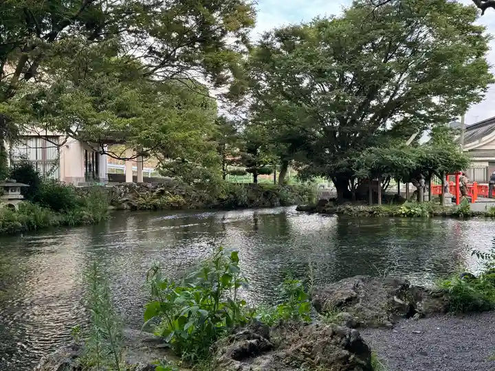 富士山本宮浅間大社(静岡県)
