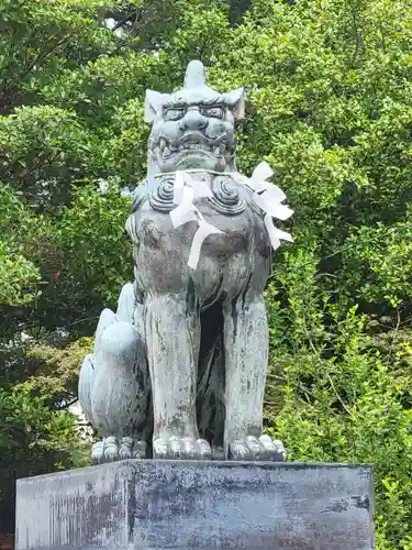 雄郡神社の狛犬