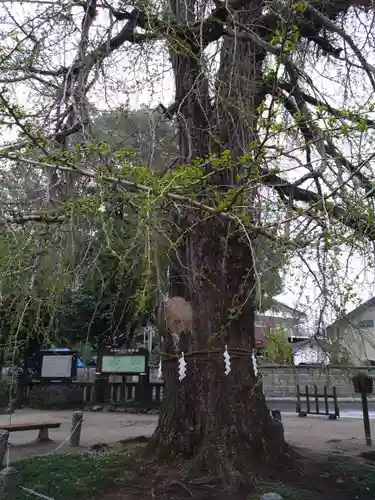 今宮神社(栃木県)