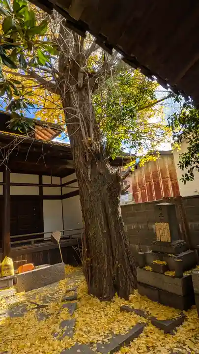 城安寺(京都府)