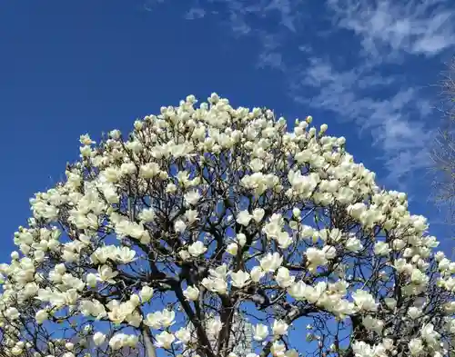 成願寺(東京都)