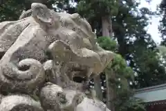 白山比咩神社の狛犬